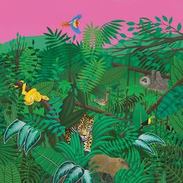 Turnover - Good Nature - Evergreen - VINYL LP