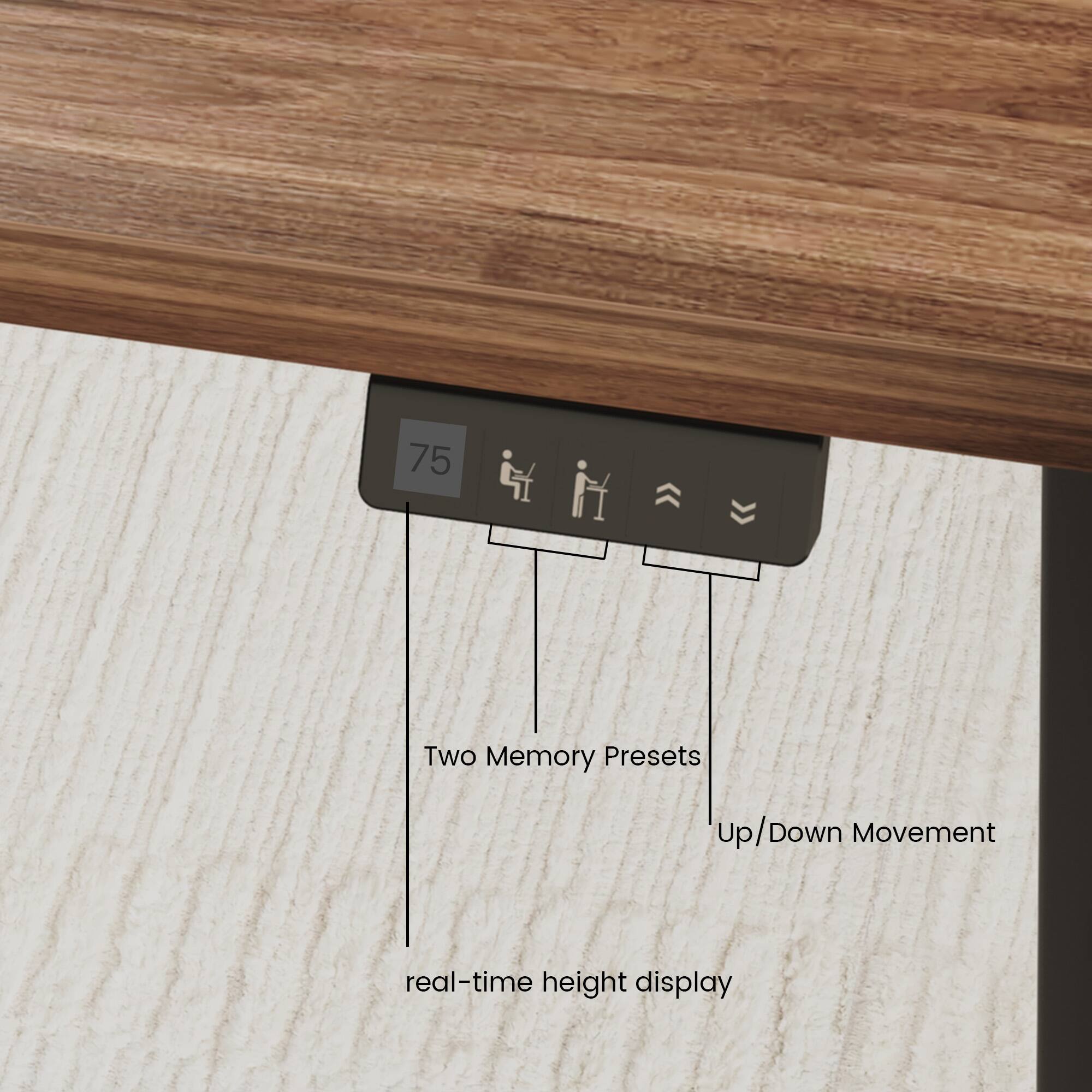 75  
Two Memory Presets  
Up/Down Movement  
real-time height display