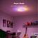 Music Mode
Sync lights with every beat.