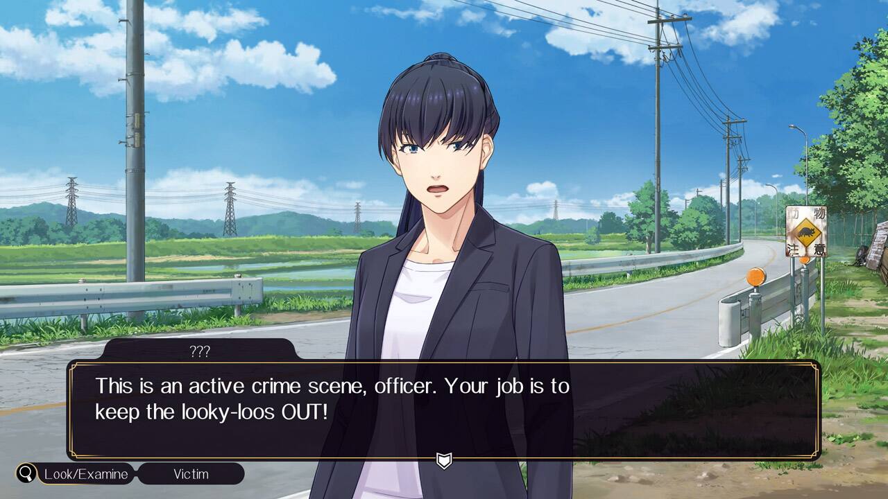 This is an active crime scene, officer. Your job is to keep the looky-loos OUT! Look/Examine Victim.