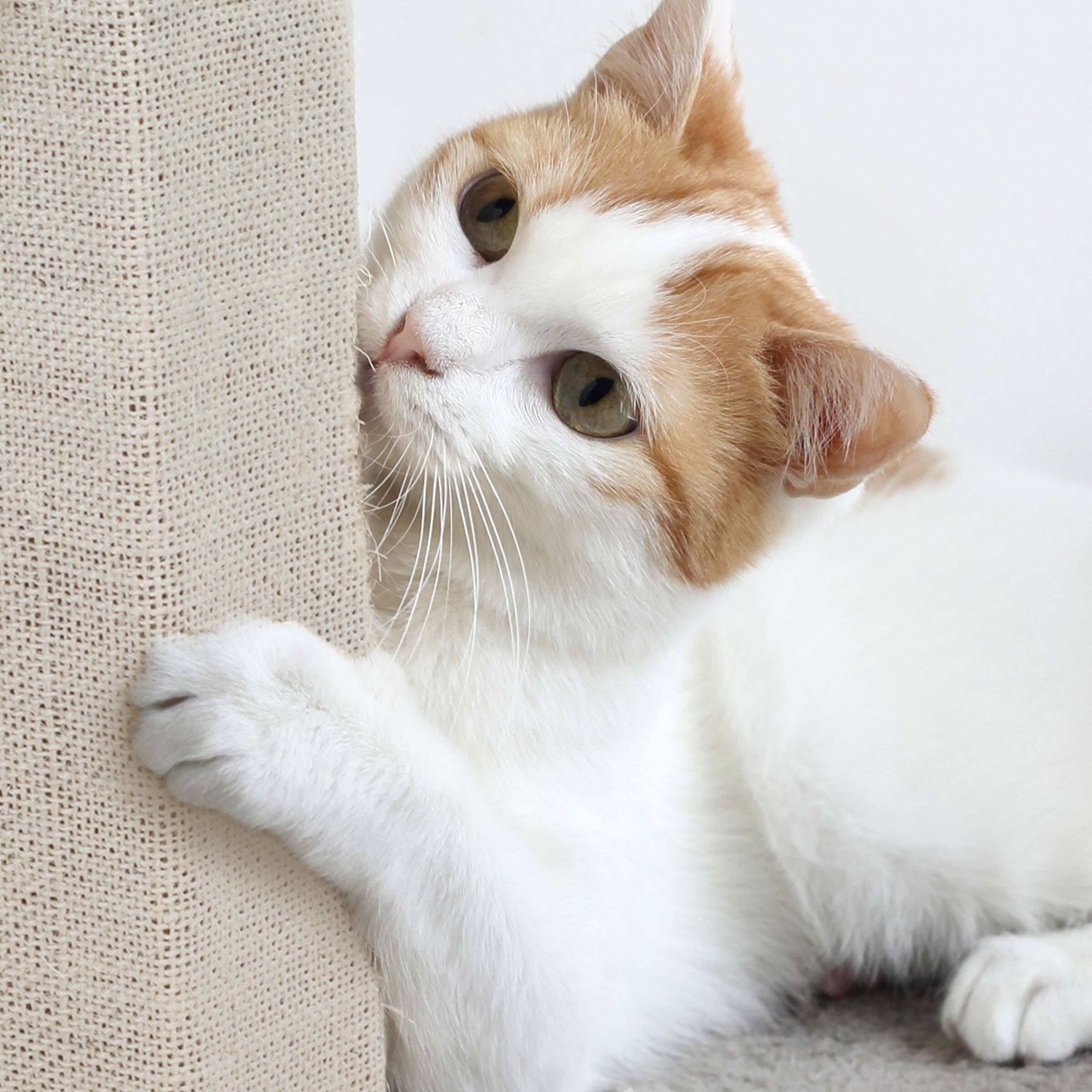 Alt View 4. PetMaker - Cat Scratching Post with Carpeted Base 27.75-Inch Sisal Fabric Scratcher Furniture Scratching Deterrent for Indoor Cats - Beige.