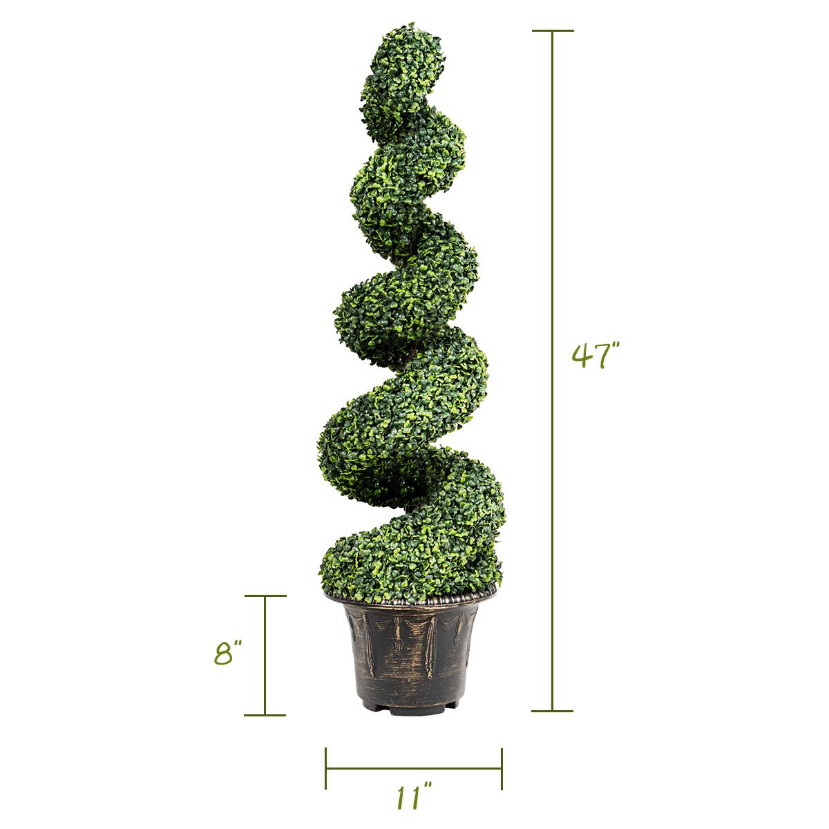 The dimensions of the topiary are:

- Height: 47 inches
- Width: 8 inches
- Depth: 11 inches