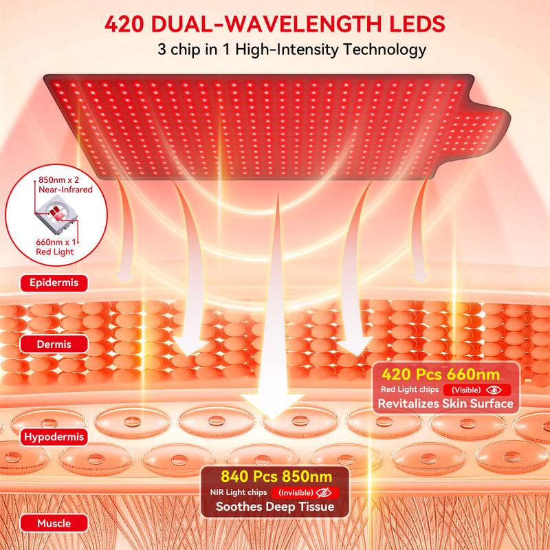 420 DUAL-WAVELENGTH LEDS  
3 chip in 1 High-Intensity Technology  
850nm x 2 Near-Infrared  
660nm x 1 Red Light  
Epidermis  
Dermis  
420 Pcs 660nm Red Light chips (Visible) Revitalizes Skin Surface  
Hypodermis  
Muscle  
840 Pcs 850nm NIR Light chips (Invisible) Soothes Deep Tissue