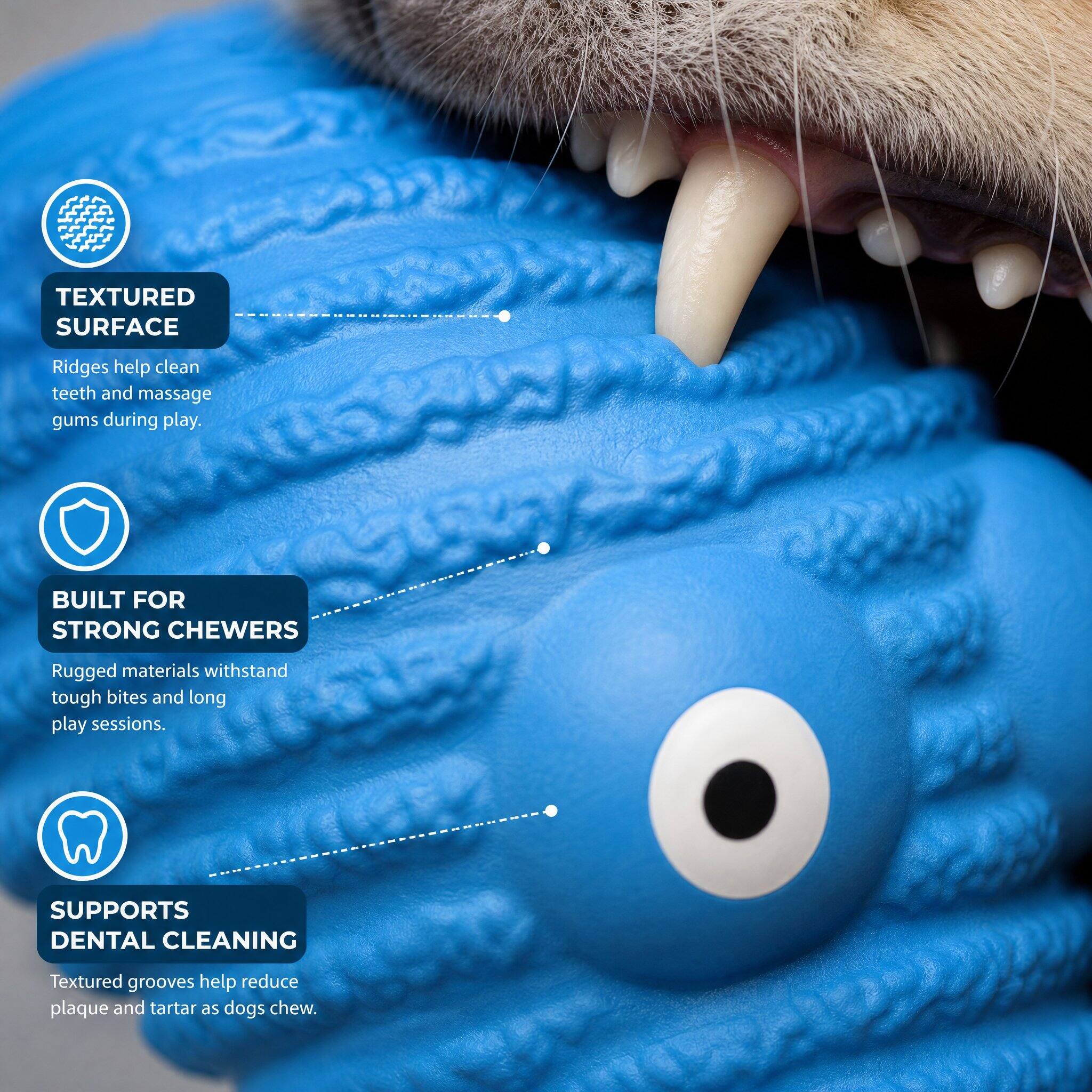 TEXTURED SURFACE  
Ridges help clean teeth and massage gums during play.  

BUILT FOR STRONG CHEWERS  
Rugged materials withstand tough bites and long play sessions.  

SUPPORTS DENTAL CLEANING  
Textured grooves help reduce plaque and tartar as dogs chew.