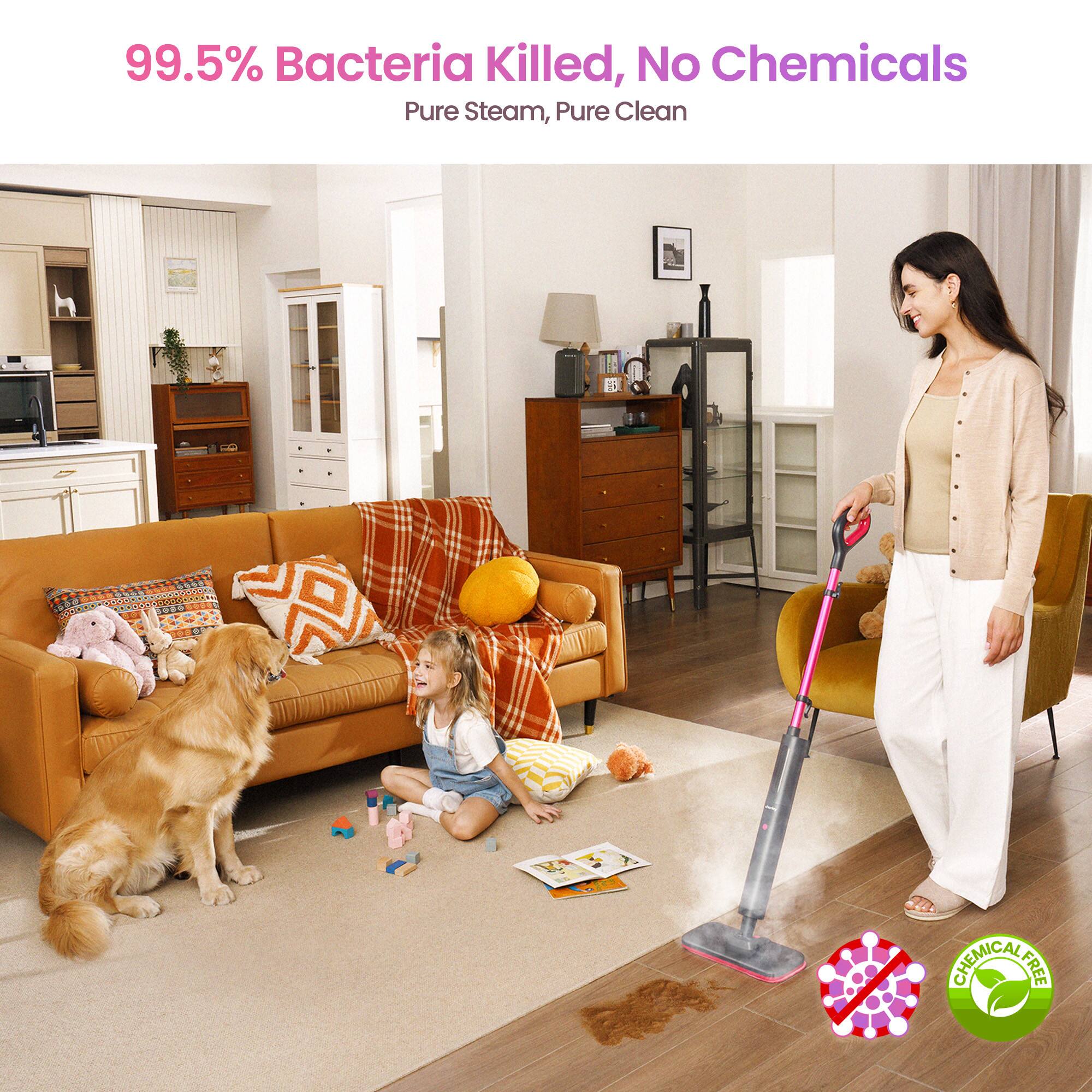 99.5% Bacteria Killed, No Chemicals  
Pure Steam, Pure Clean  
CHEMICAL FREE