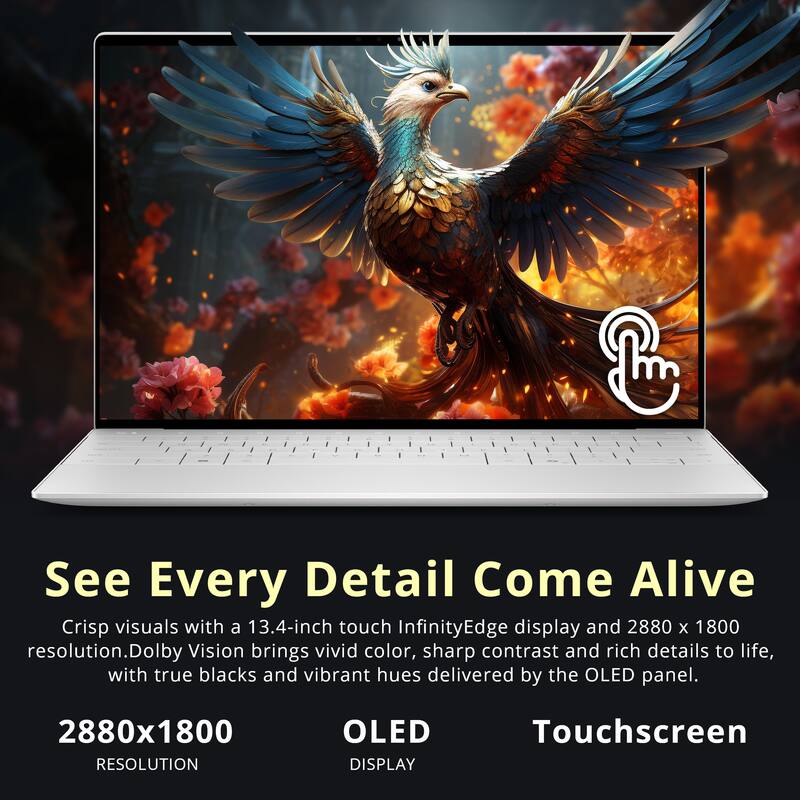 See Every Detail Come Alive

Crisp visuals with a 13.4-inch touch InfinityEdge display and 2880 x 1800 resolution. Dolby Vision brings vivid color, sharp contrast and rich details to life, with true blacks and vibrant hues delivered by the OLED panel.

2880x1800 RESOLUTION OLED DISPLAY Touchscreen