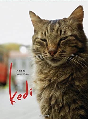 Kedi   - DVD price history on PriceWatchPro