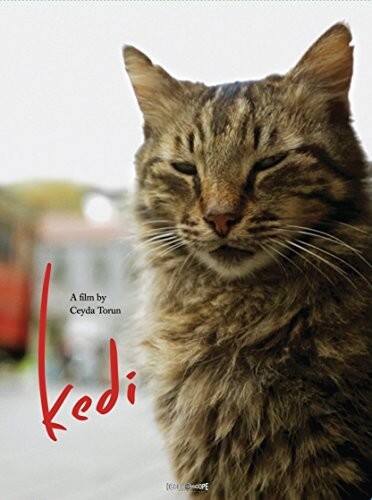 Kedi - DVD