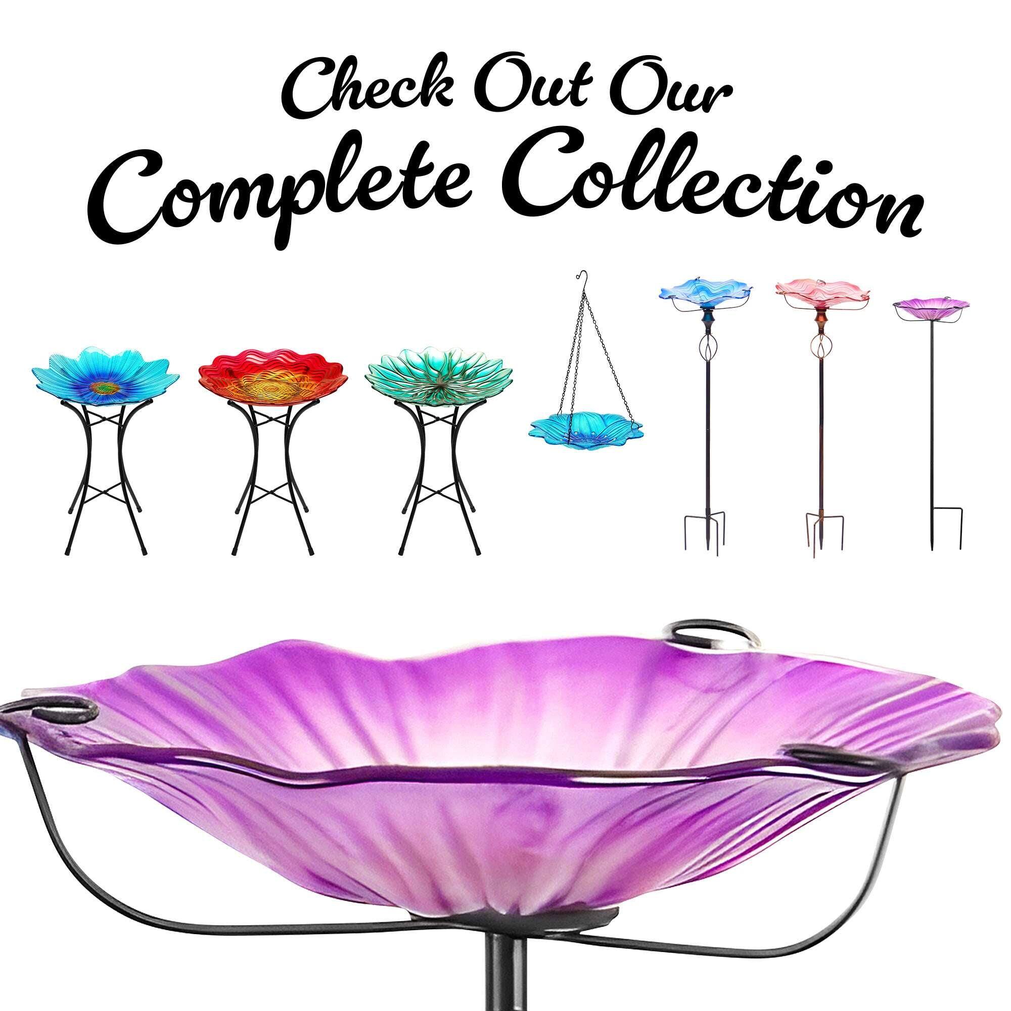 Check Out Our Complete Collection