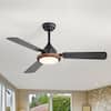 Front. Breezary - 48'' Ceiling Fan with 3-Color Light, 3 Dual-Finish Plywood Blades, DC Motor, 6-Speed Remote with Timer & Memory - Matte Black and Dark Wood Grain.