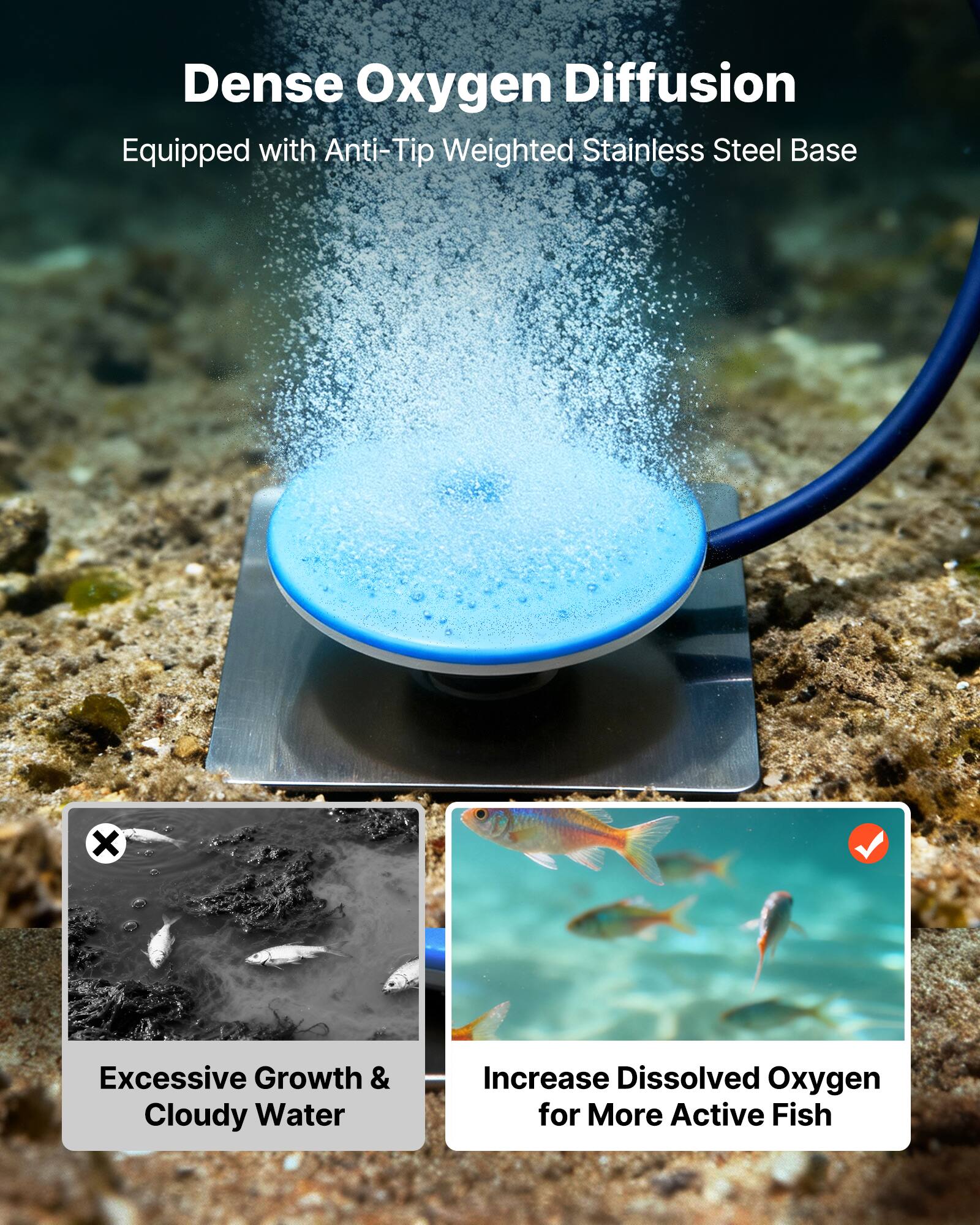 Dense Oxygen Diffusion  
Equipped with Anti-Tip Weighted Stainless Steel Base  

Excessive Growth & Cloudy Water  
Increase Dissolved Oxygen for More Active Fish