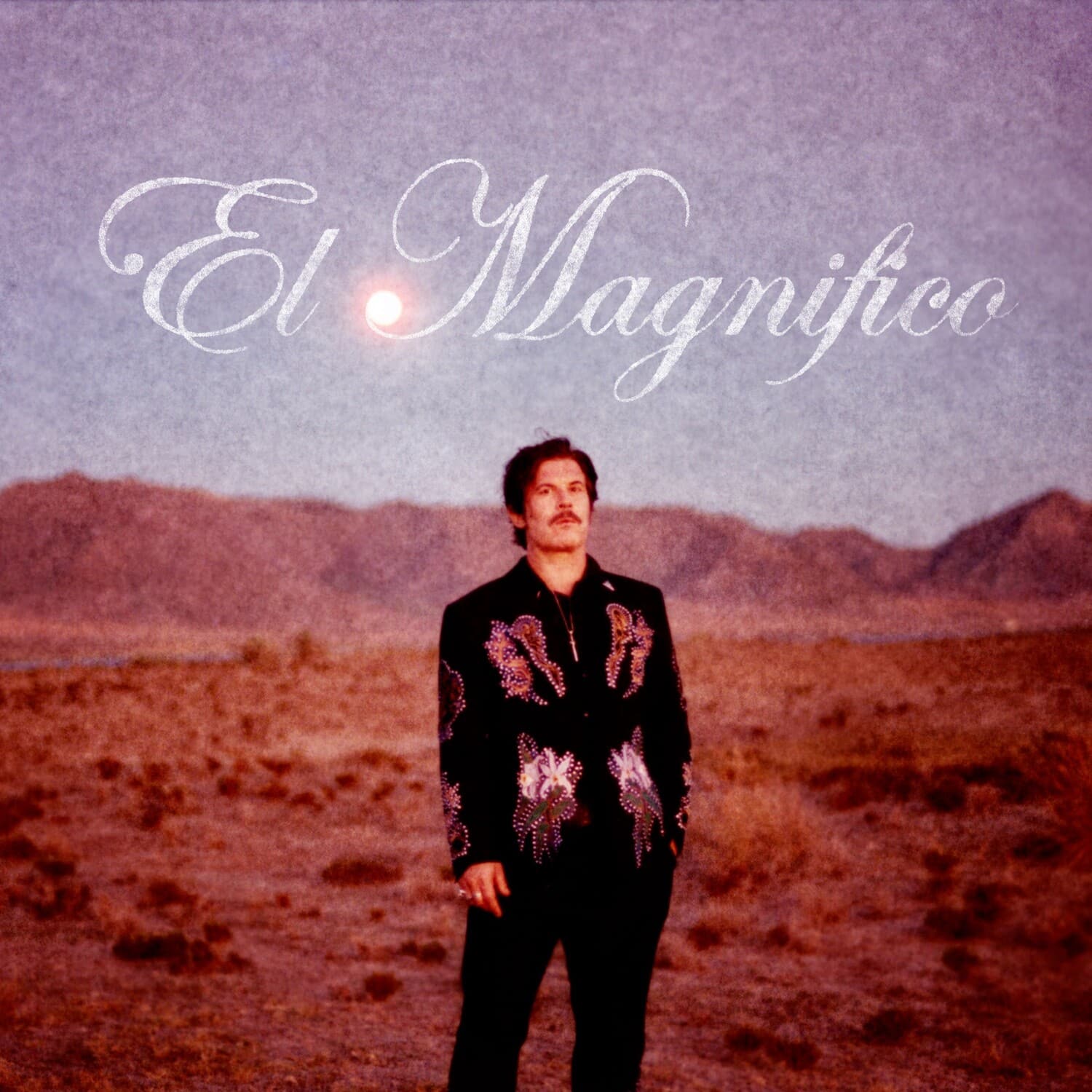 Ed Harcourt - El Magnifico  - VINYL LP
