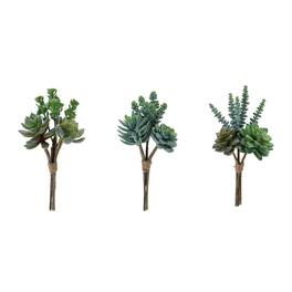 BreeBe - Succulent Bundle (Set of 6) - Green