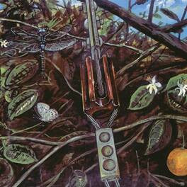 Dragonfly - Dragonfly - VINYL LP