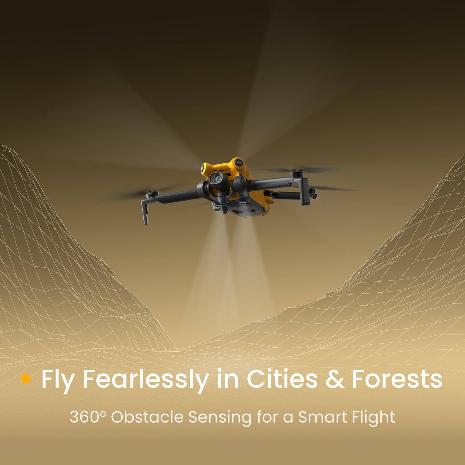Fly Fearlessly in Cities & Forests  
360° Obstacle Sensing for a Smart Flight