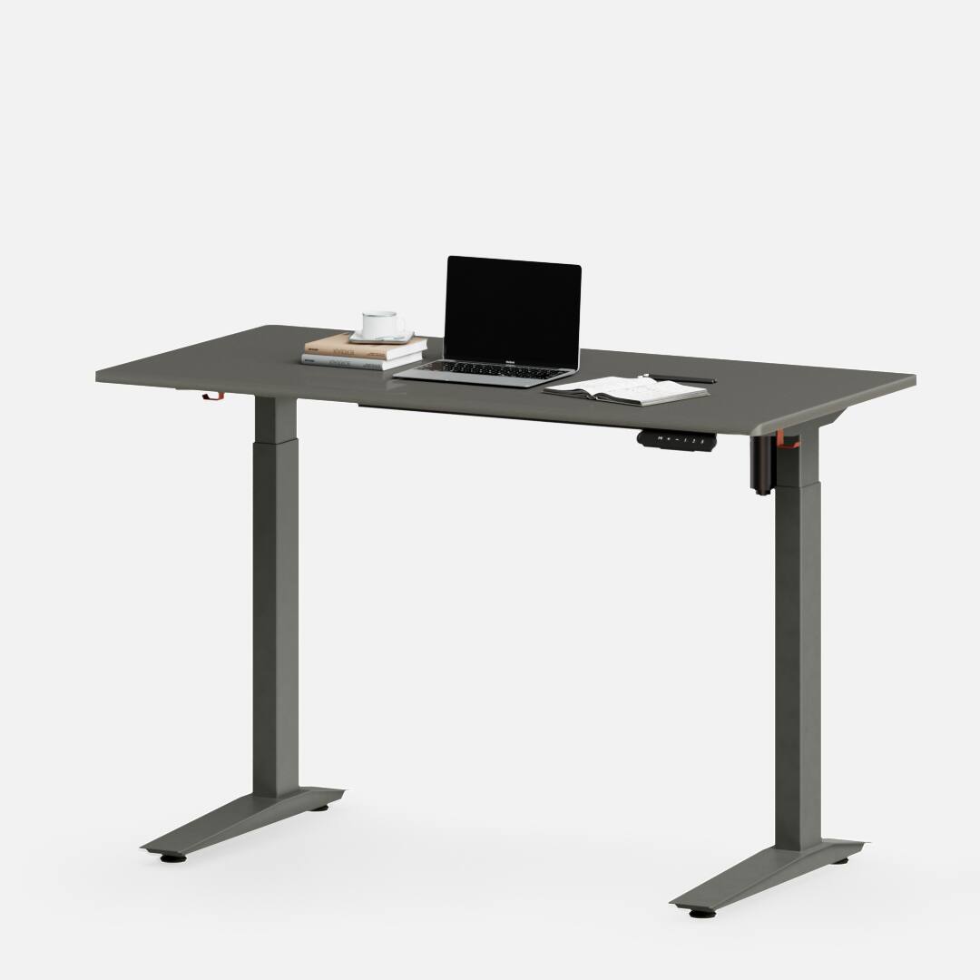 Desk 5 Electric Standing Desk 48x24 Meteor Grey - Autonomous Desk 5 - Gray