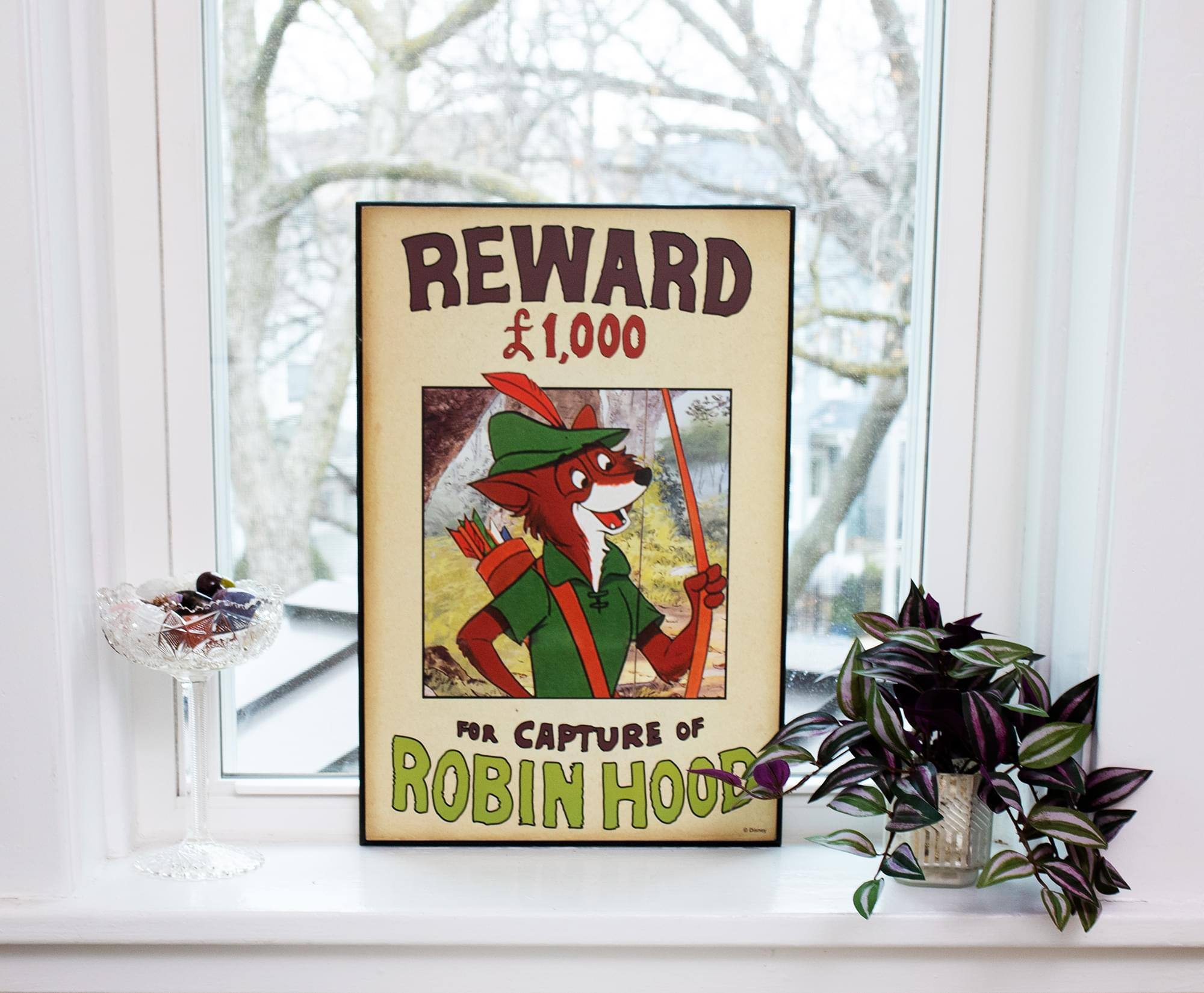 REWARD £1,000 FOR CAPTURE OF ROBIN HOOD