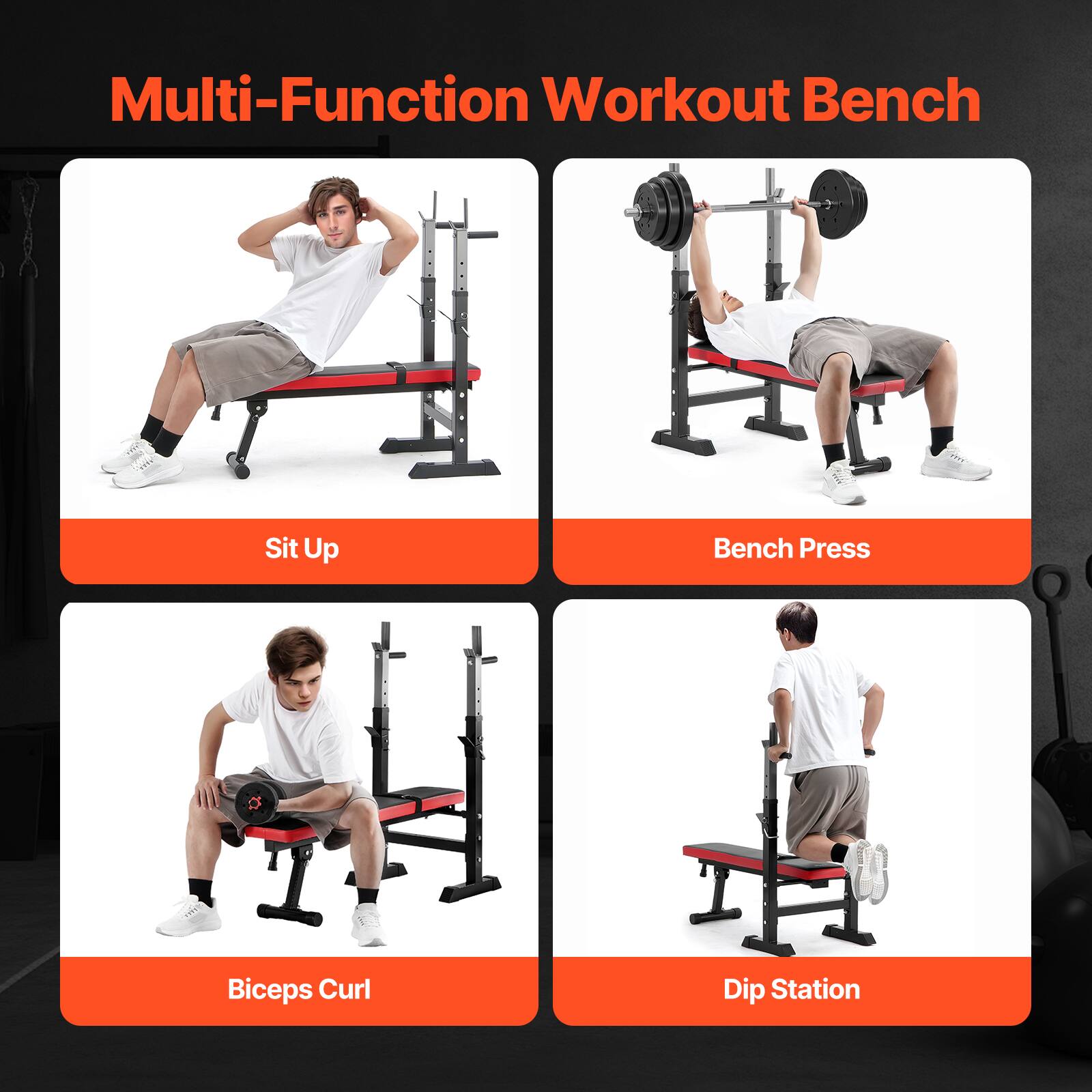 Multi-Function Workout Bench

- Sit Up
- Bench Press
- Biceps Curl
- Dip Station