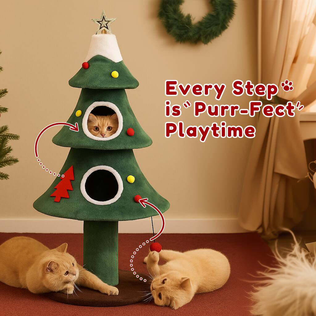 Every Step is "Purr-Perfect" Playtime