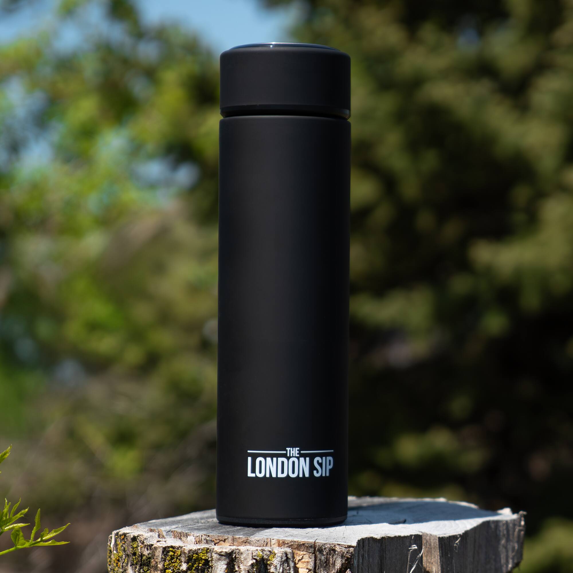 THE LONDON SIP