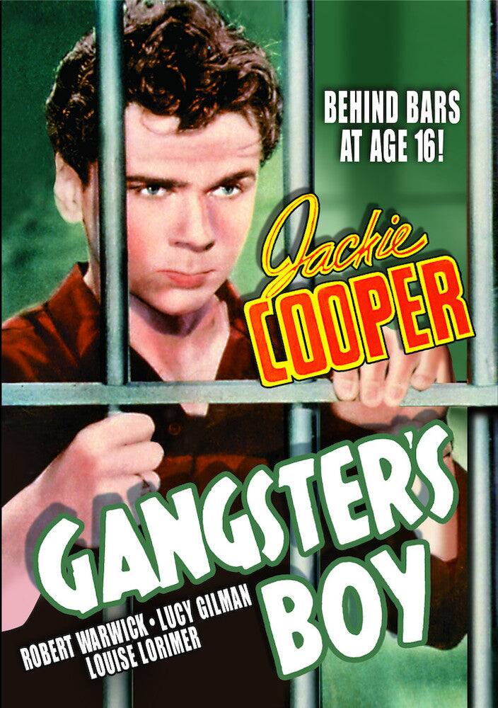Gangster's Boy - DVD price history on PriceWatchPro