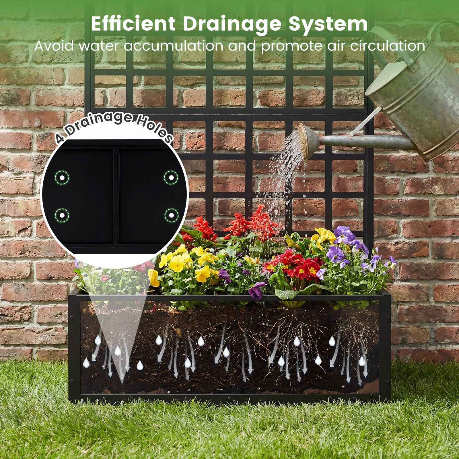 Efficient Drainage System  
Avoid water accumulation and promote air circulation  
4 Drainage Holes