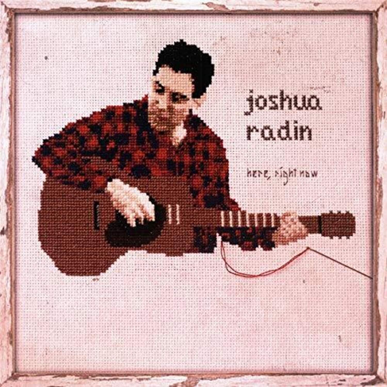 Joshua Radin - Here Right Now   - VINYL LP price history on PriceWatchPro