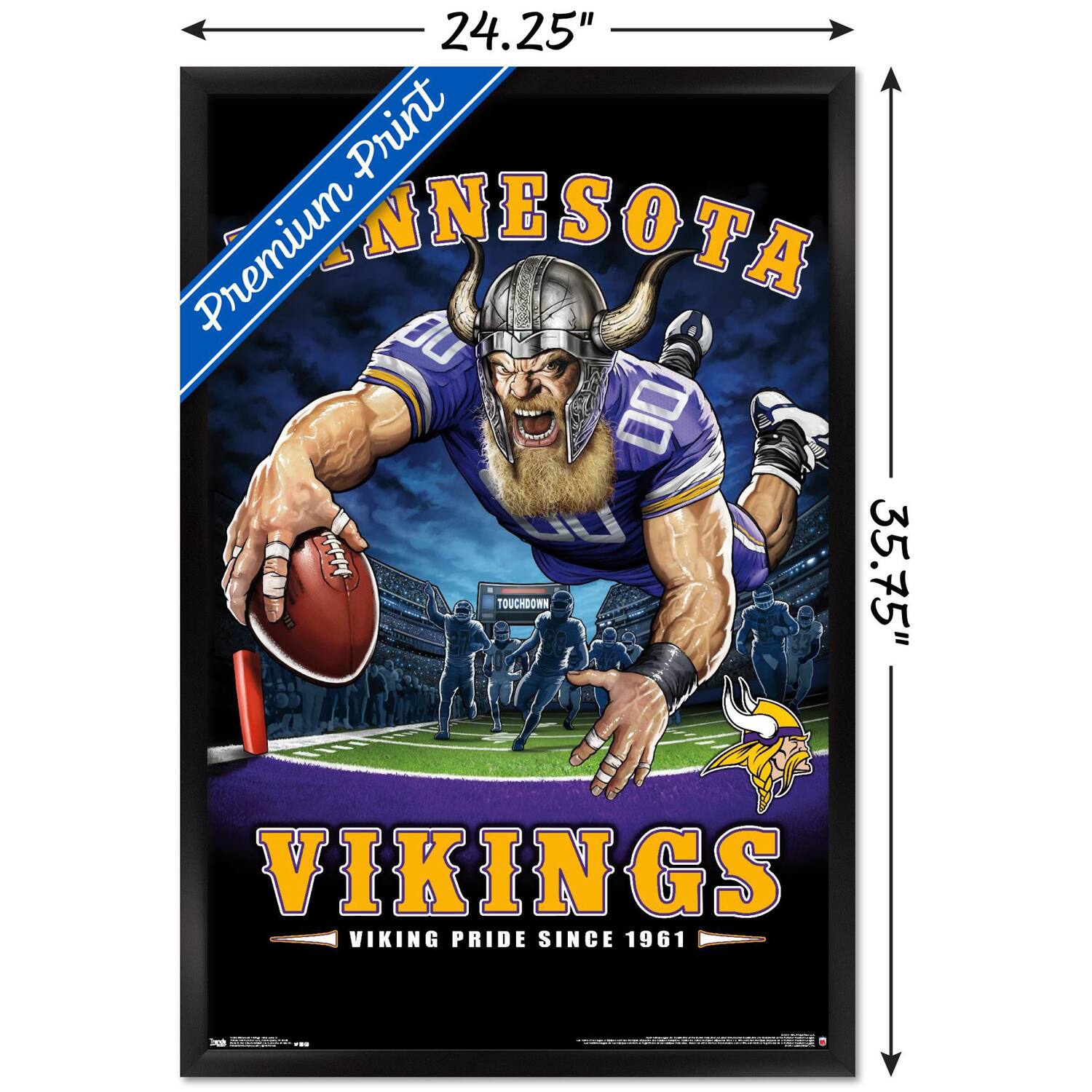 24.25" x 35.75"  
Premium Print  
MINNESOTA  
VIKINGS  
VIKING PRIDE SINCE 1961