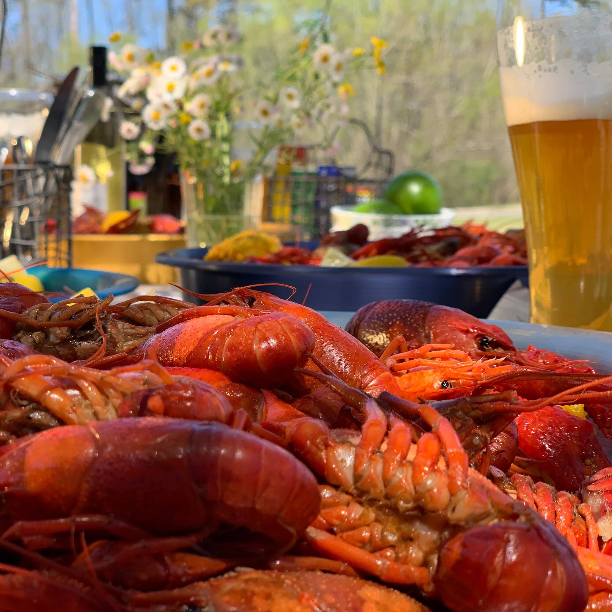 Alt View 5. Bayou Classic - Bayou Classic 22" Stainless Banjo Cooker with Broad Flame for Outdoor Cooking - Silver.