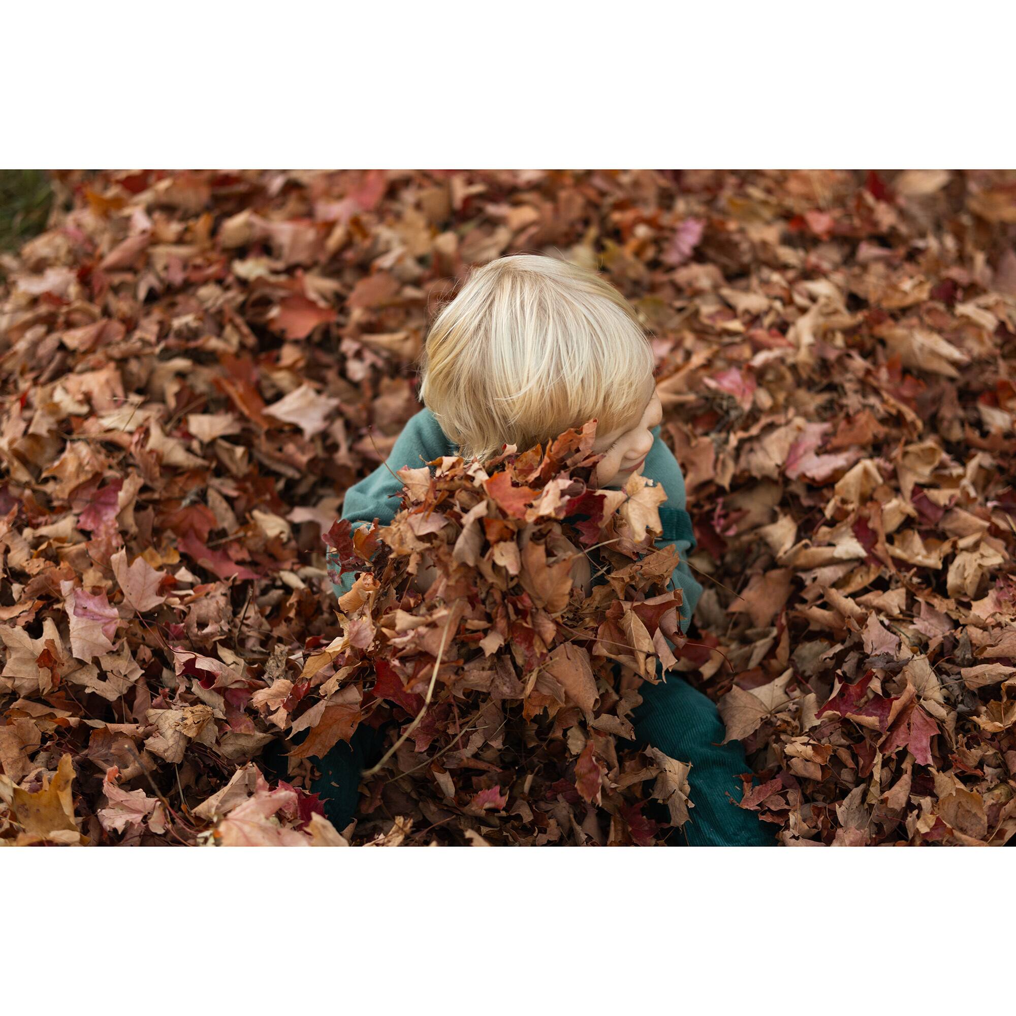 Left. Sigma - Sigma 56mm F1.4 DC DN Lens Canon RF.