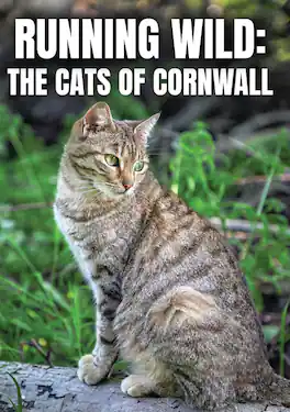 Running Wild: The Cats of Cornwall (MOD) (DVD Movie)