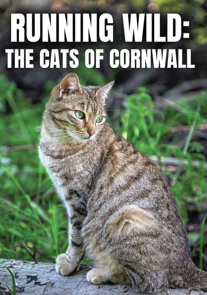 Front. Running Wild: The Cats of Cornwall (MOD) (DVD Movie).