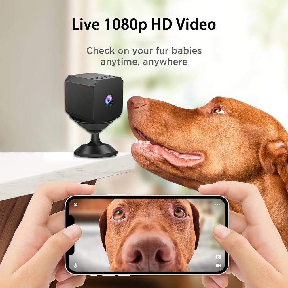 Live 1080p HD Video

Check on your fur babies anytime, anywhere
