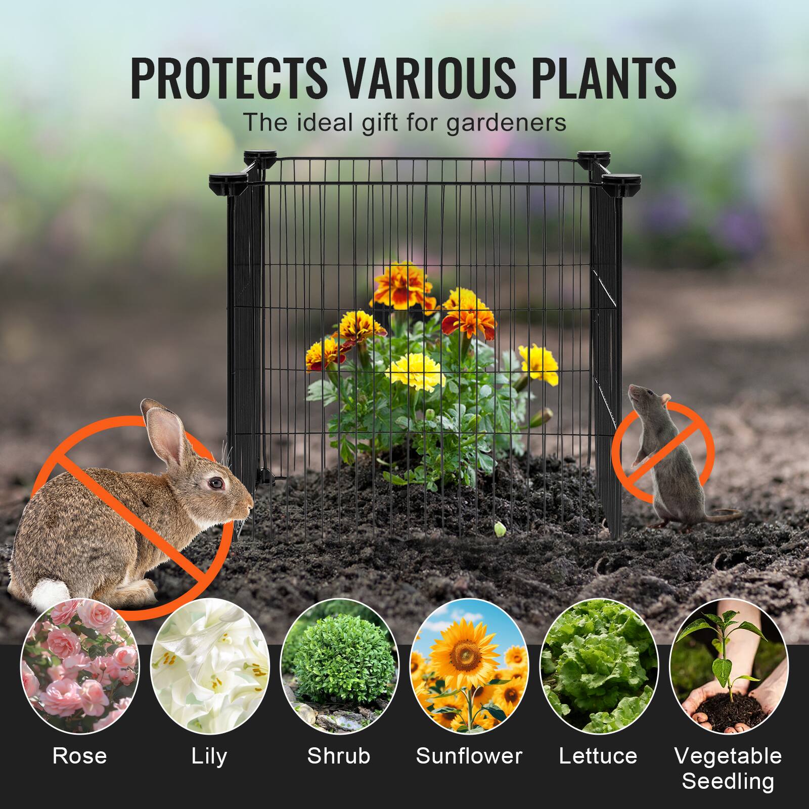 PROTECTS VARIOUS PLANTS
The ideal gift for gardeners
Rose
Lily
Shrub
Sunflower
Lettuce
Vegetable Seedling