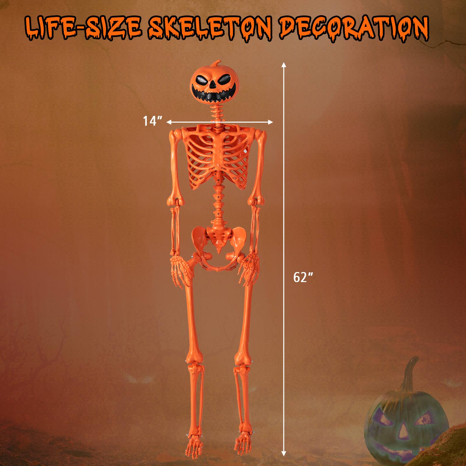 LIFE-SIZE SKELETON DECORATION

14" (width)

62" (height)