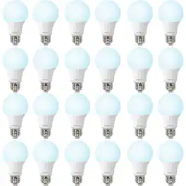 Schertz - 24 Pieces A19 LED Light Bulbs, E26 Base, 800 Lumens, 8W and Daylight 5000K