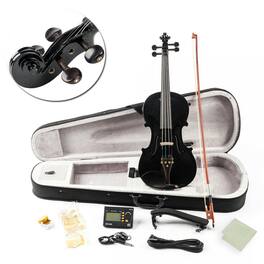 Winado - Acoustic Electric Violin, 4/4 Violin with EQ preamp and Ebony Accessories, Full-size Violin with AUX Cable