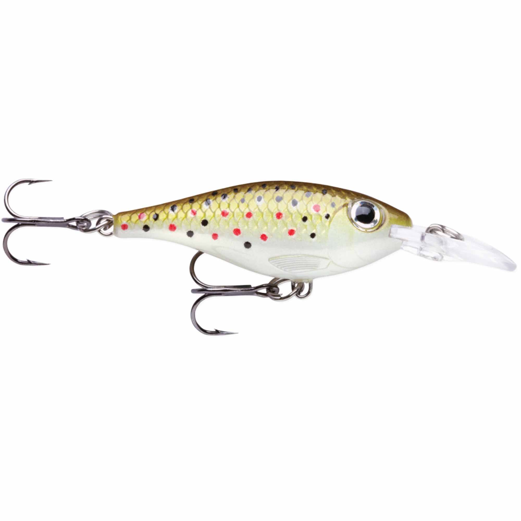 Trout