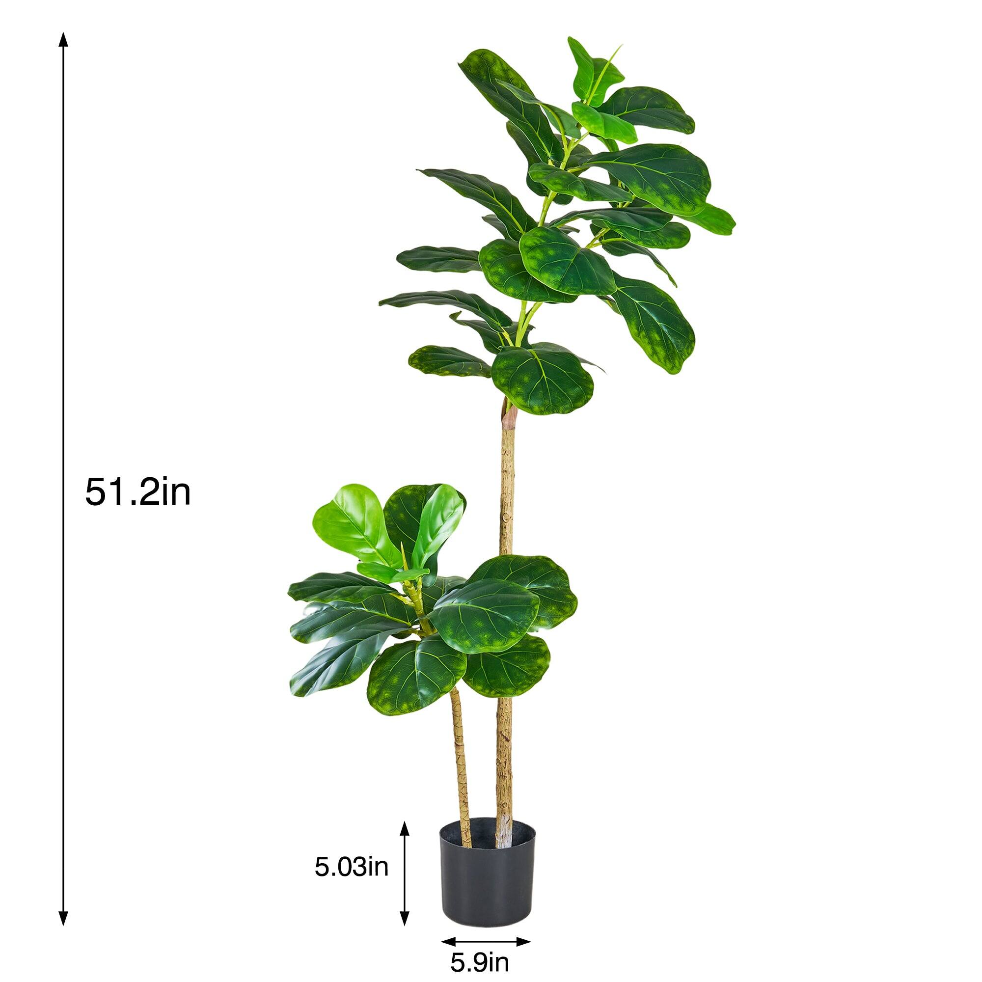 51.2in  
5.03in  
5.9in