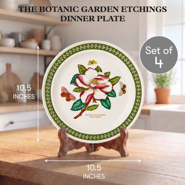 THE BOTANIC GARDEN ETCHINGS DINNER PLATE  
Set of 4  
10.5 INCHES  
MAGNOLIA ALTISSIMA  
Arket: Magnolia