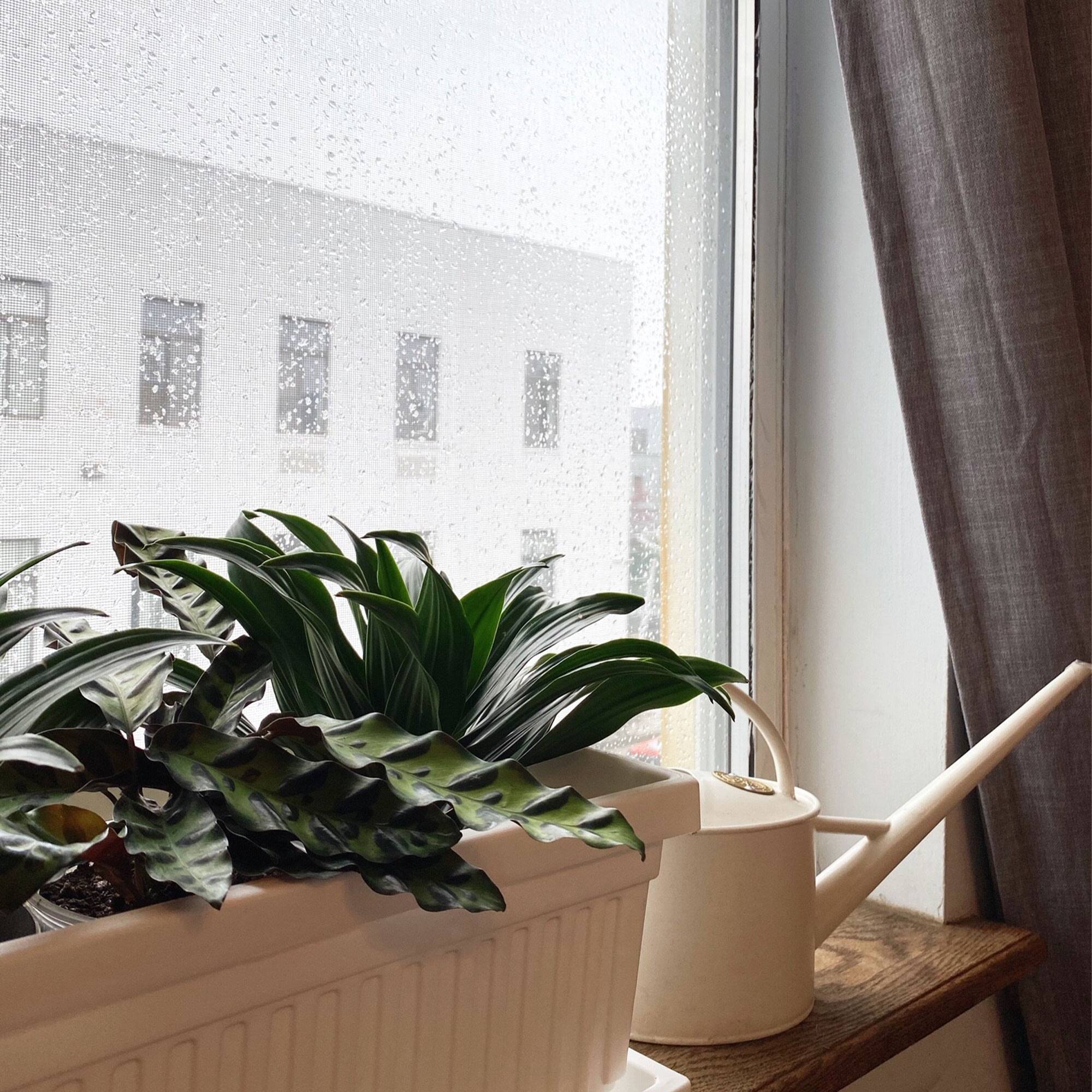 Alt View 2. The HC Companies - HC Companies 30 Inch Fluted Plastic Venetian Garden Flower Window Box (2 Pack) - Black.