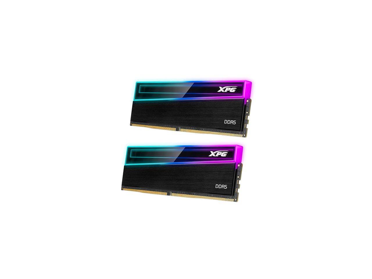 XPG - NOVAKEY 32GB (2 x 16GB) 288-Pin PC RAM DDR5 5600 (PC5 44800) Desktop Memory Model AX5U5600C4616G-DCNKRBK - Black price history on PriceWatchPro