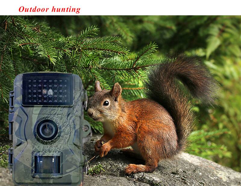 Outdoor hunting