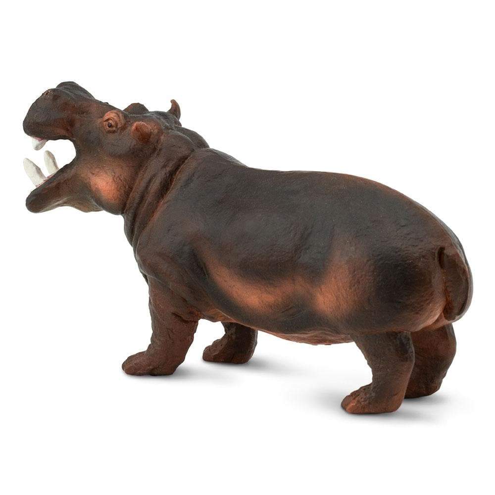 Alt View 3. Safari Ltd. - Hippopotamus Toy Figurine.