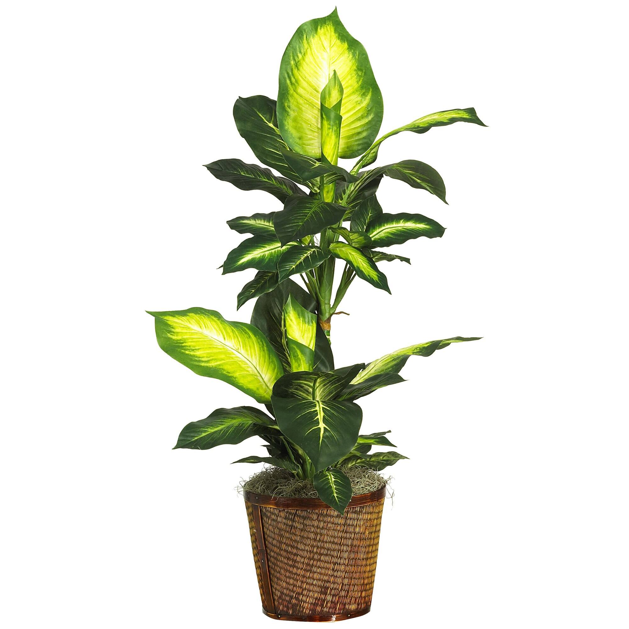 Front. BreeBe - 42" Golden Dieffenbachia w/Basket Silk Plant - Green.