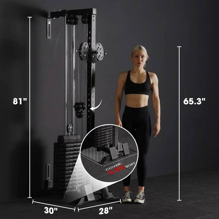 81", 65.3", 30", 28", COVER: 83 SOFT