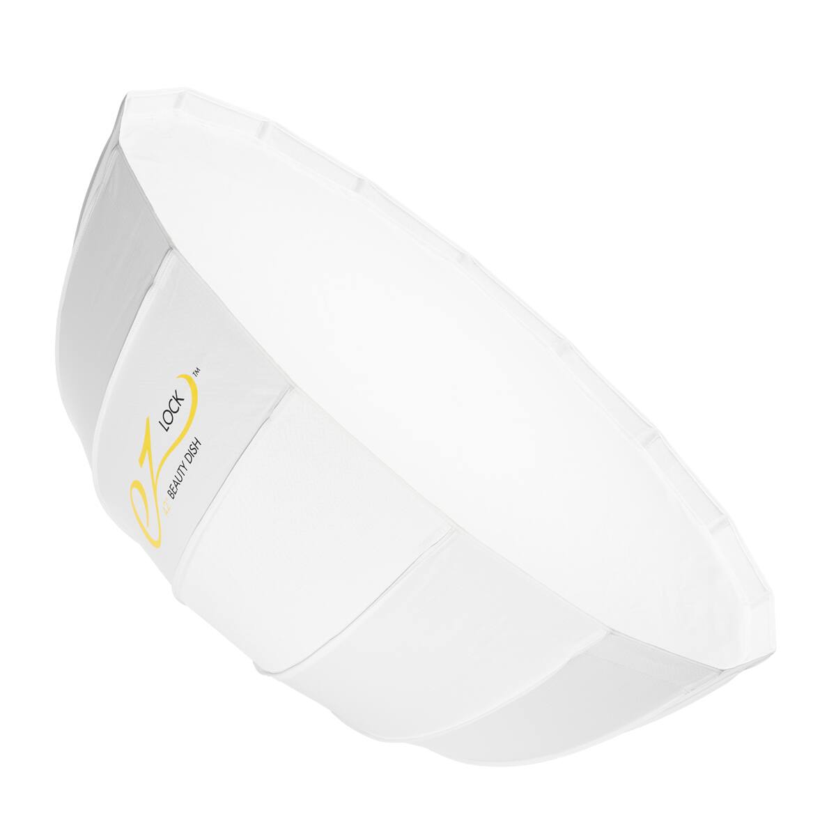 TM LOCK DISH 42 BEAUTY
