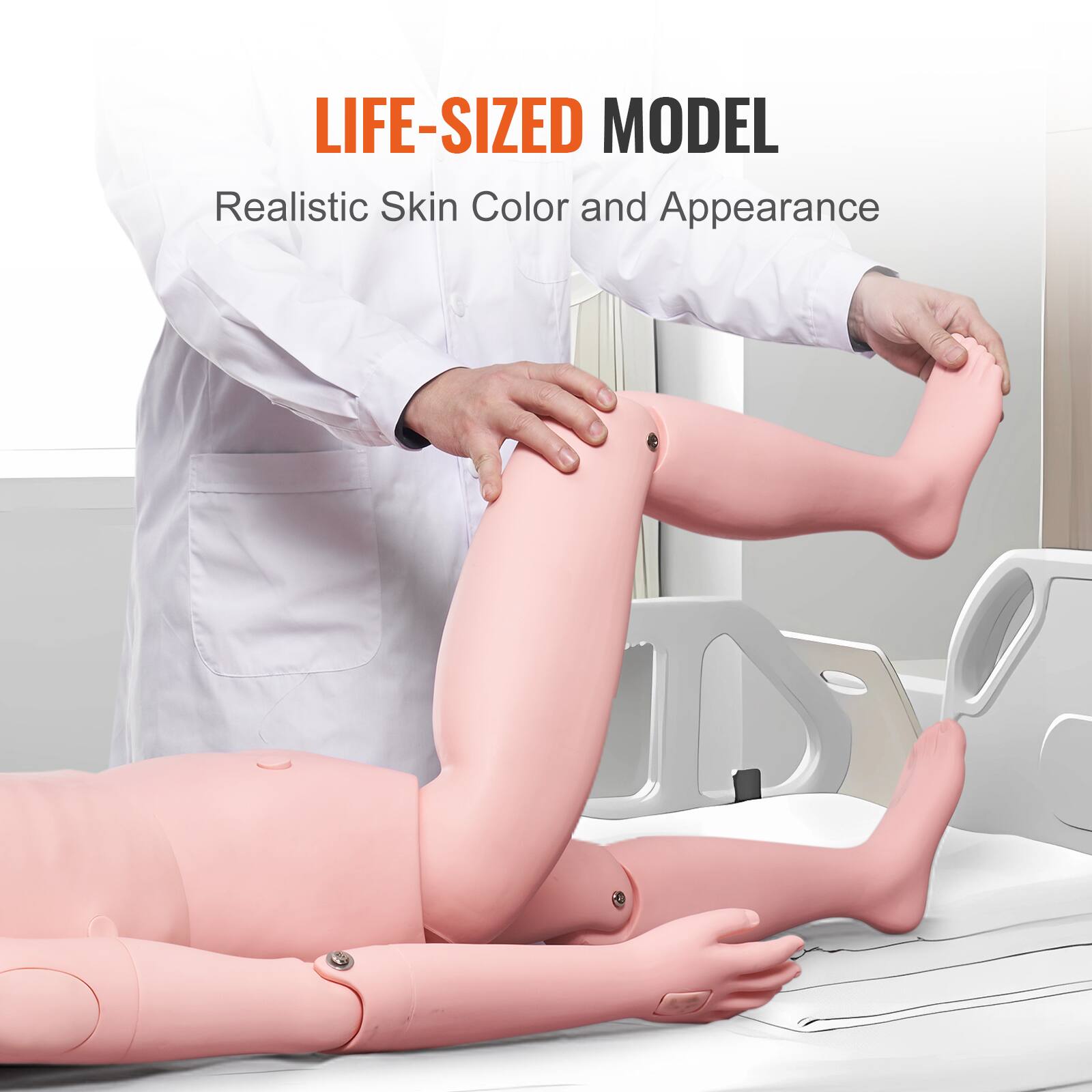 LIFE-SIZED MODEL  
Realistic Skin Color and Appearance