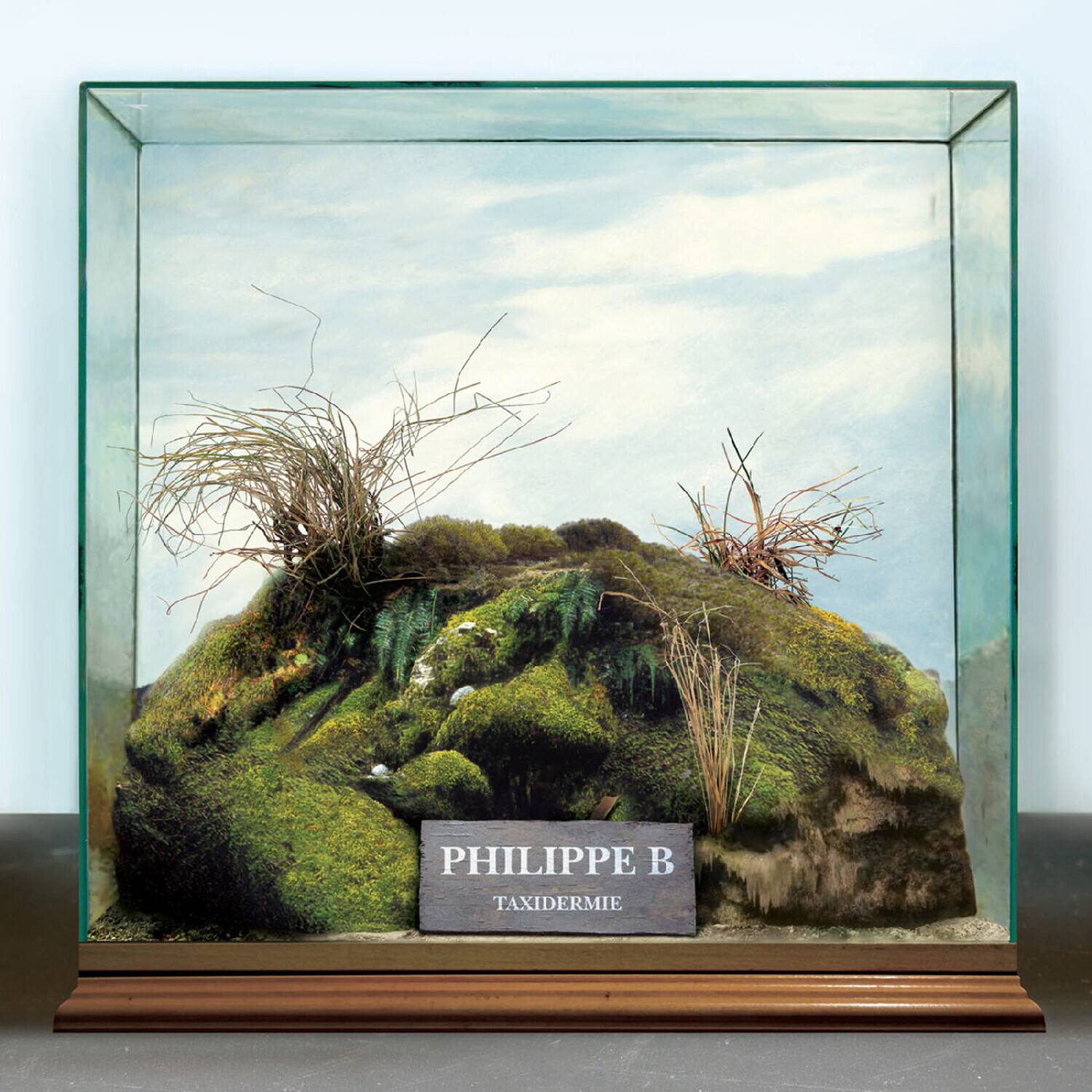 Philippe B - Taxidermie   - COMPACT DISCS [CD] price history on PriceWatchPro
