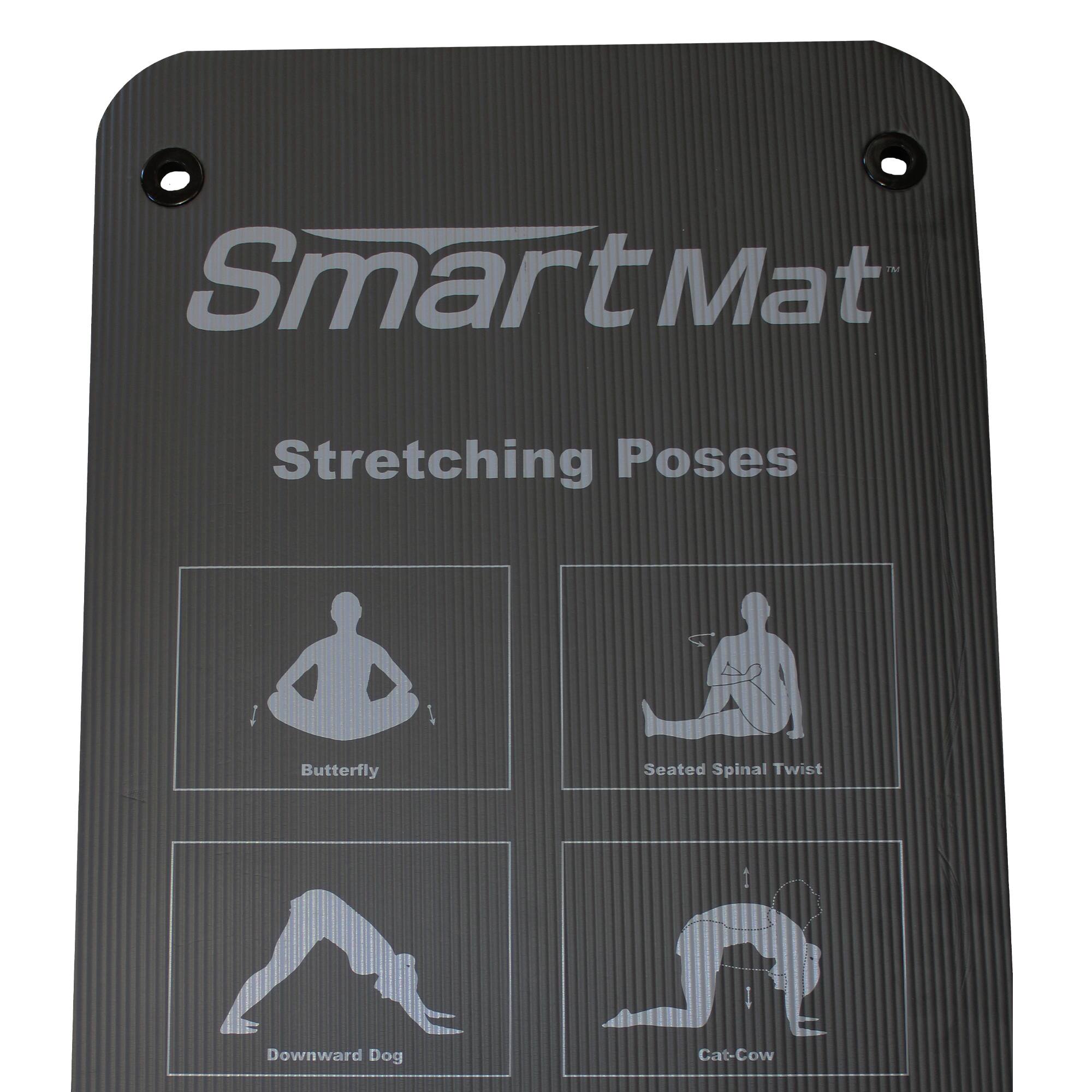 SmartMat™  
Stretching Poses  

- Butterfly  
- Seated Spinal Twist  
- Downward Dog  
- Cat-Cow